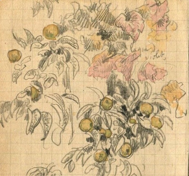 Vintage Drawing Original Apples, Tree Fruit, Still Life Artwork - 2