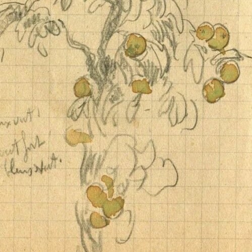 Vintage Drawing Original Apples, Tree Fruit, Still Life Artwork - 4