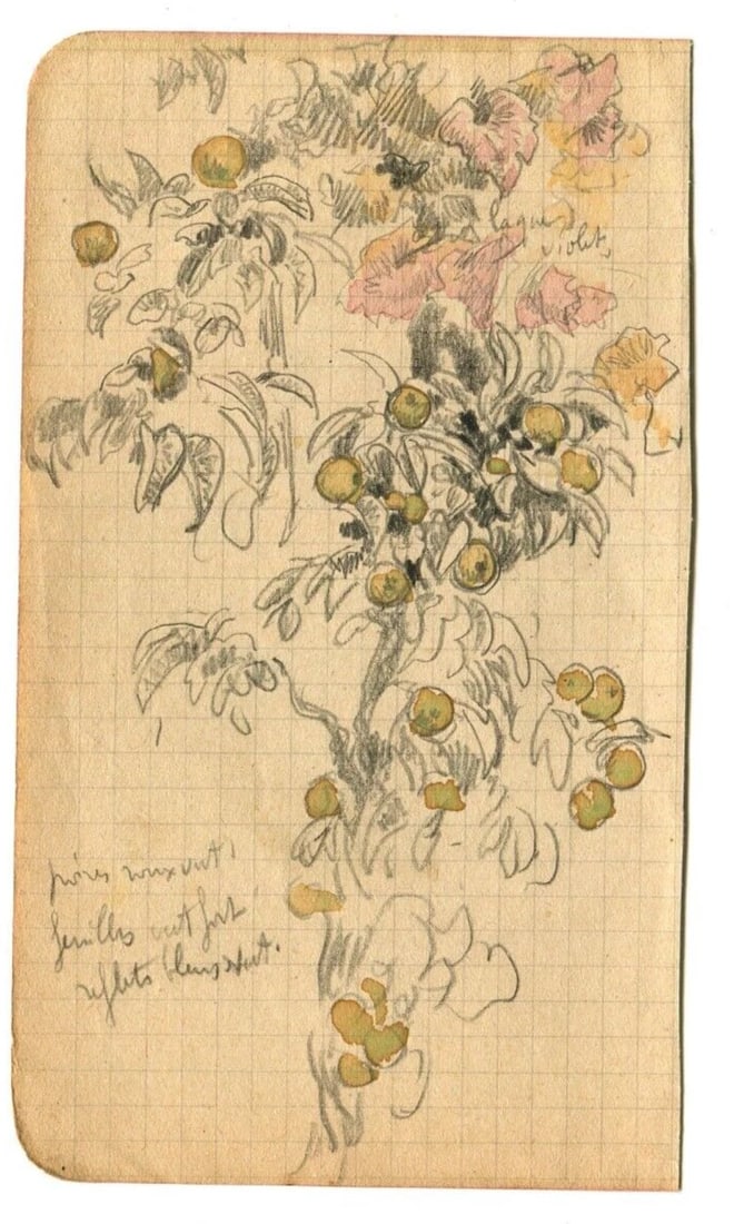 Vintage Drawing Original Apples, Tree Fruit, Still Life Artwork - 5