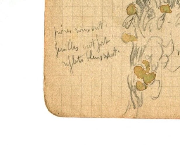 Vintage Drawing Original Apples, Tree Fruit, Still Life Artwork - 6