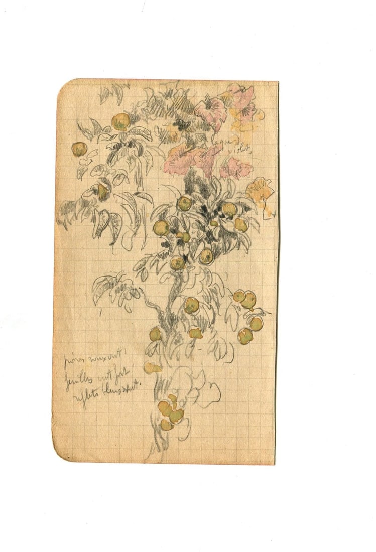 Vintage Drawing Original Apples, Tree Fruit, Still Life Artwork - 7