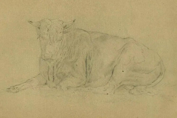 Antique Pencil Drawing Original 19th century Animal, Sitting Bull Artwork - 2