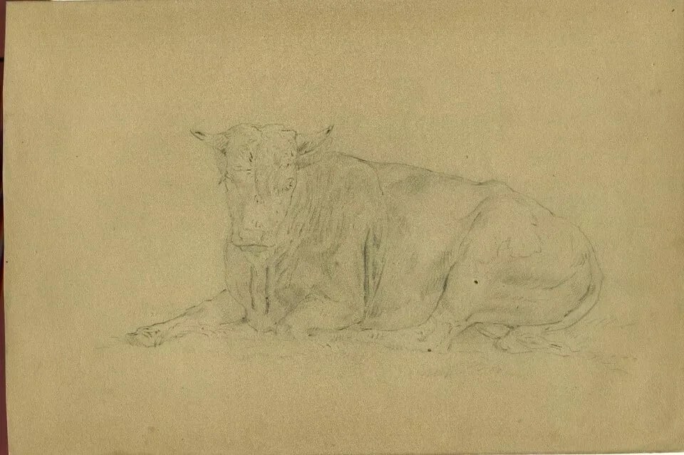 Antique Pencil Drawing Original 19th century Animal, Sitting Bull Artwork - 8