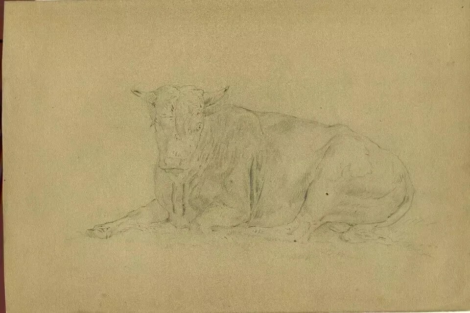 Antique Pencil Drawing Original 19th century Animal, Sitting Bull Artwork - 9