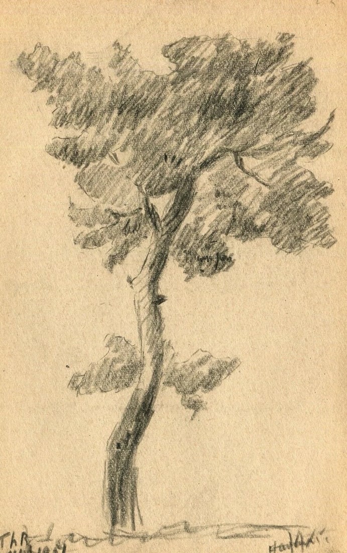 1901 Sketch, Tree Drawing Antique Pencil Original Art Nouveau, signed: Pencil Original Drawing Art Nouveau, Sketch of a Tree signed 1901 Description: Pencil on paper 20.5 x 13 cm / 4.13 x 5.11 inches folds, stains Reserve: $30.00 Shipping: Domestic: Flat-rate o