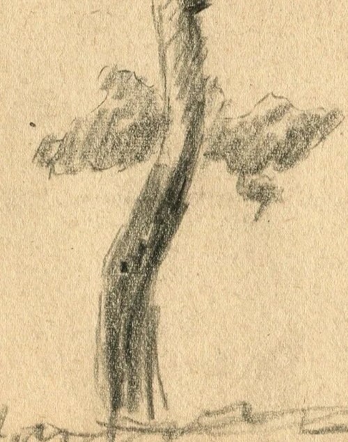 1901 Sketch, Tree Drawing Antique Pencil Original Art Nouveau, signed - 3