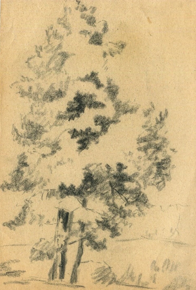 Antique Pencil Original Art Nouveau Drawing of a Tree Sketch c. 1900 Artwork (1 of 9)