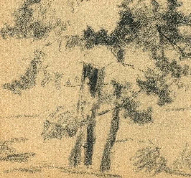 Antique Pencil Original Art Nouveau Drawing of a Tree Sketch c. 1900 Artwork - 3