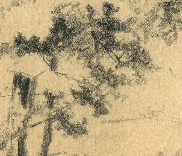 Antique Pencil Original Art Nouveau Drawing of a Tree Sketch c. 1900 Artwork - 5