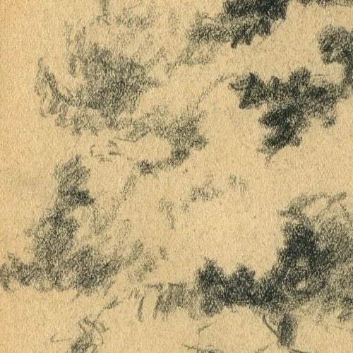 Antique Pencil Original Art Nouveau Drawing of a Tree Sketch c. 1900 Artwork - 6