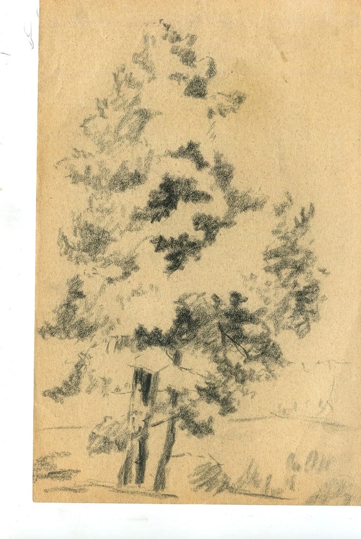 Antique Pencil Original Art Nouveau Drawing of a Tree Sketch c. 1900 Artwork - 7