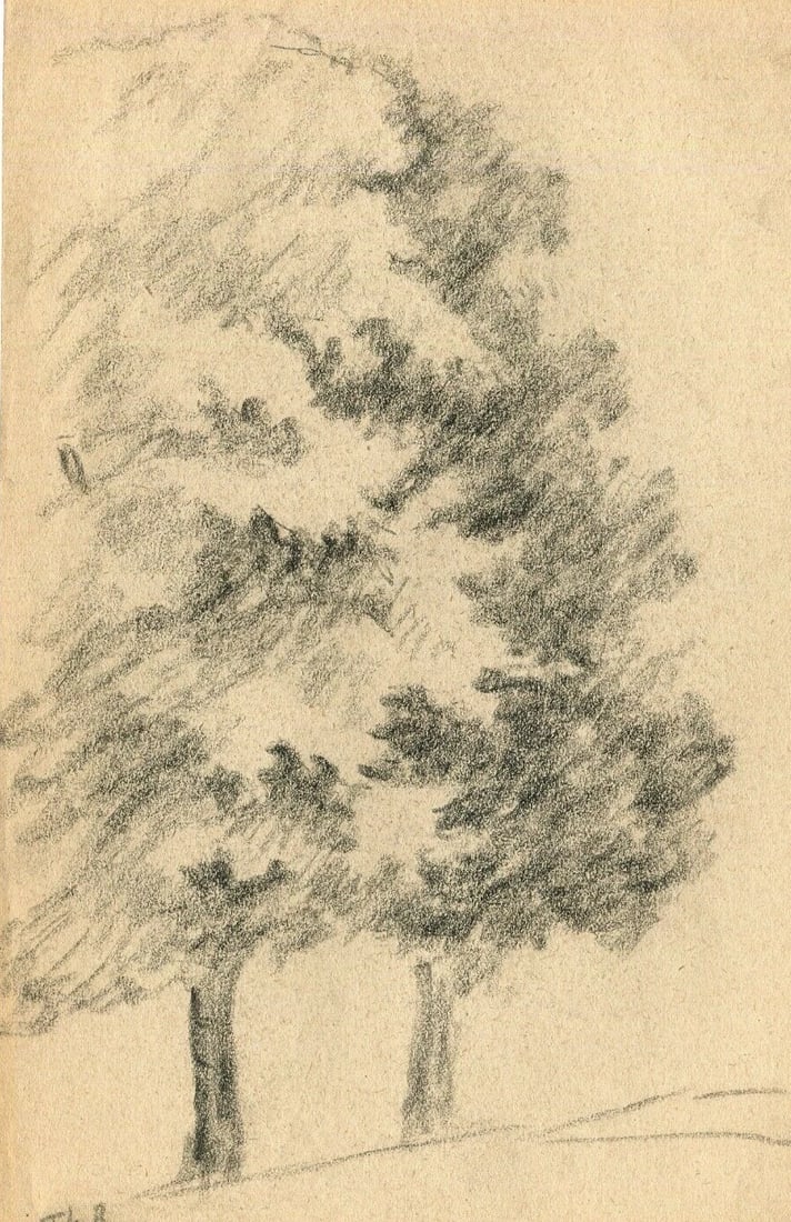 Antique Old Pencil Original Art Nouveau Drawing Sketch Tree Artwork - 2