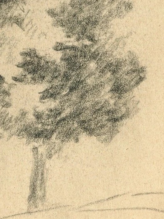 Antique Old Pencil Original Art Nouveau Drawing Sketch Tree Artwork - 4