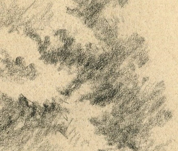 Antique Old Pencil Original Art Nouveau Drawing Sketch Tree Artwork - 5