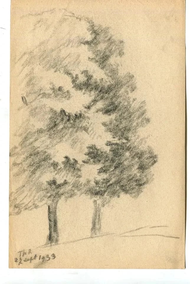 Antique Old Pencil Original Art Nouveau Drawing Sketch Tree Artwork - 8