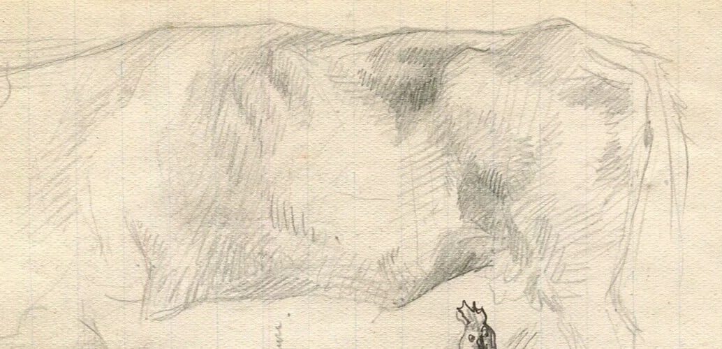 1900 Cow, Chicken Drawing Artwork Antique Pencil Original Sketch - 3