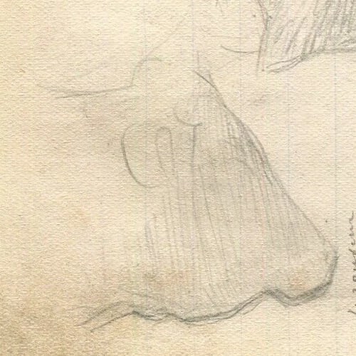 1900 Cow, Chicken Drawing Artwork Antique Pencil Original Sketch - 4