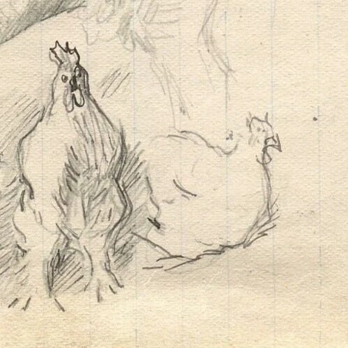 1900 Cow, Chicken Drawing Artwork Antique Pencil Original Sketch - 5