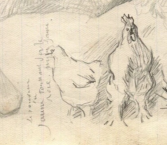 1900 Cow, Chicken Drawing Artwork Antique Pencil Original Sketch - 6