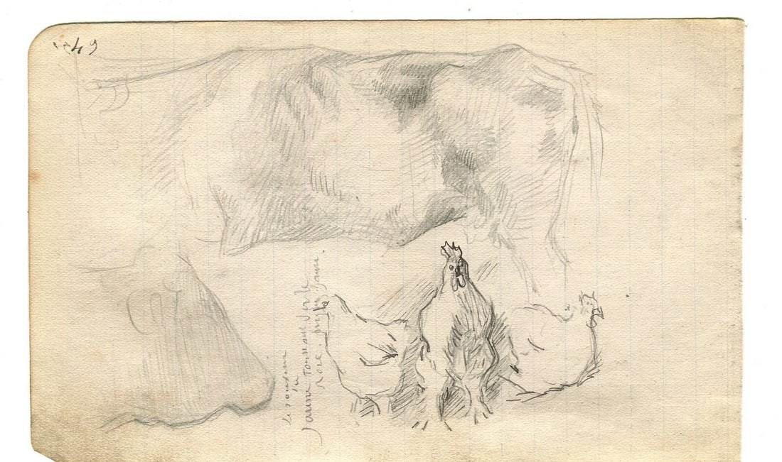 1900 Cow, Chicken Drawing Artwork Antique Pencil Original Sketch - 7