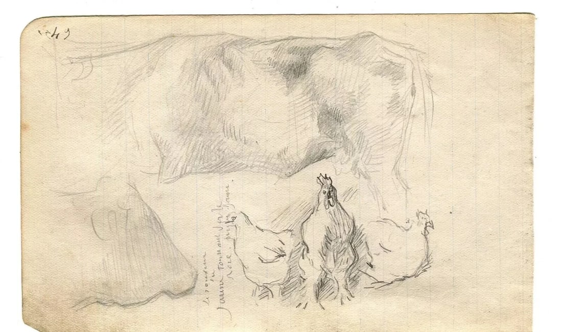 1900 Cow, Chicken Drawing Artwork Antique Pencil Original Sketch - 8