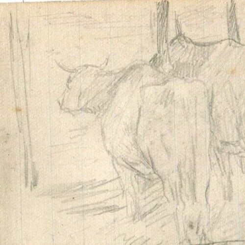 Animals, Cows, Farm, Cowshed - Drawing Antique Pencil Original - 8