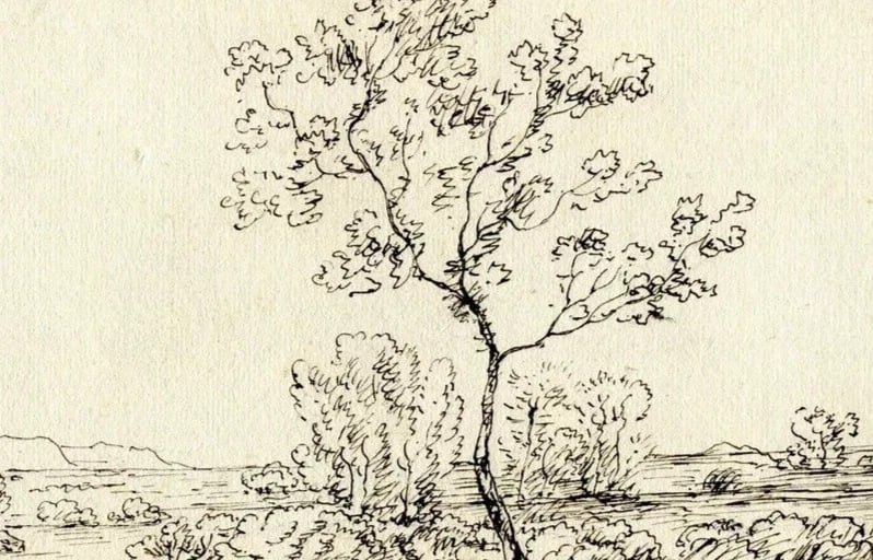 19th century Landscape, Collection Cachet Coutant-Hauguet Vintage Drawing Ink - 7