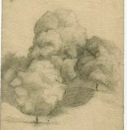 Landscape, Trees - Drawing Antique Pencil 19th century Original (1 of 9)