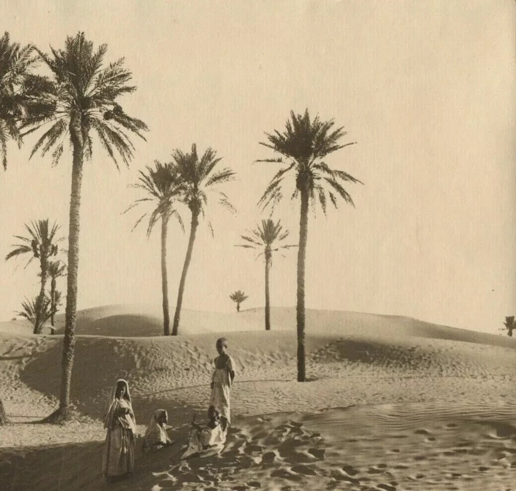 R. PROUHO - Desert, Children, Algeria c. 1910 Vintage Photographys - 6