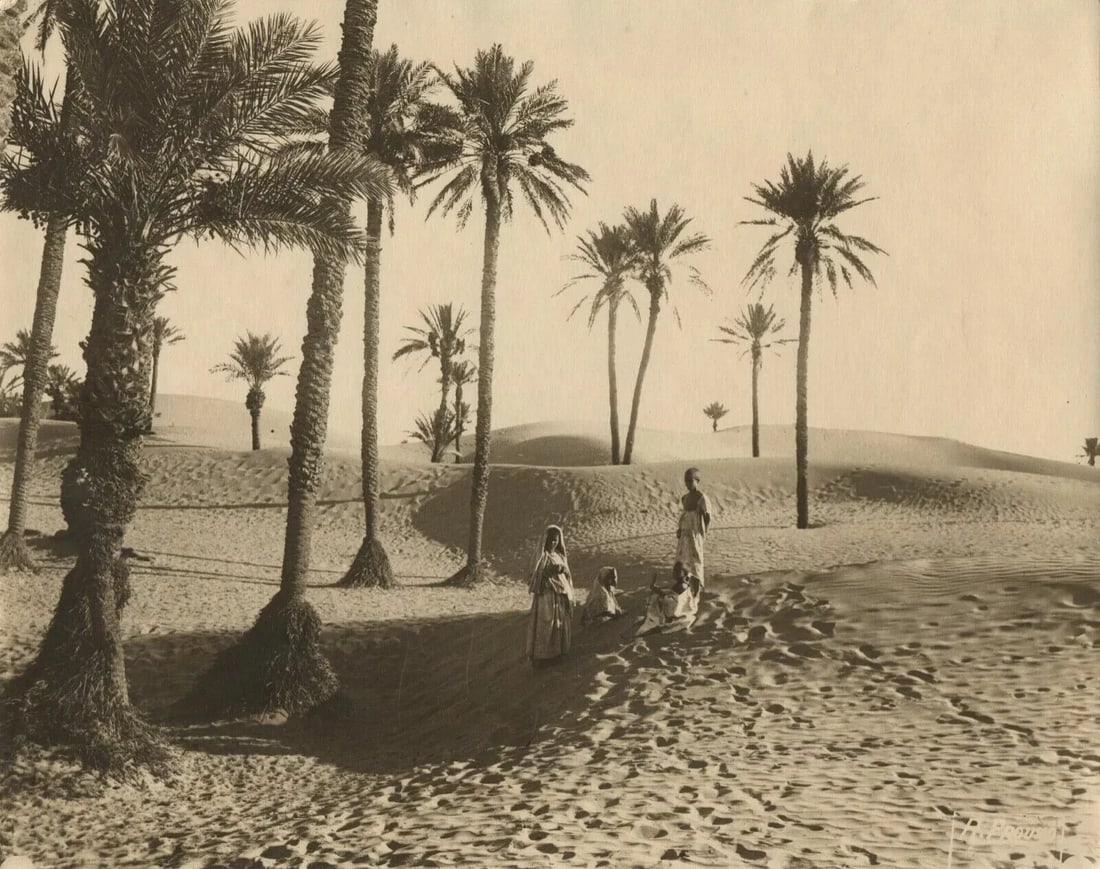 R. PROUHO - Desert, Children, Algeria c. 1910 Vintage Photographys - 7