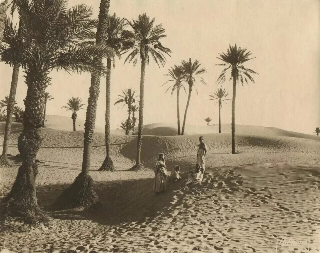 R. PROUHO - Desert, Children, Algeria c. 1910 Vintage Photographys - 9