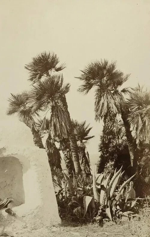 Photograph Paul Marie Famin Boy by a Zouaves Well of Bouzareah Albumen 1880 - 5