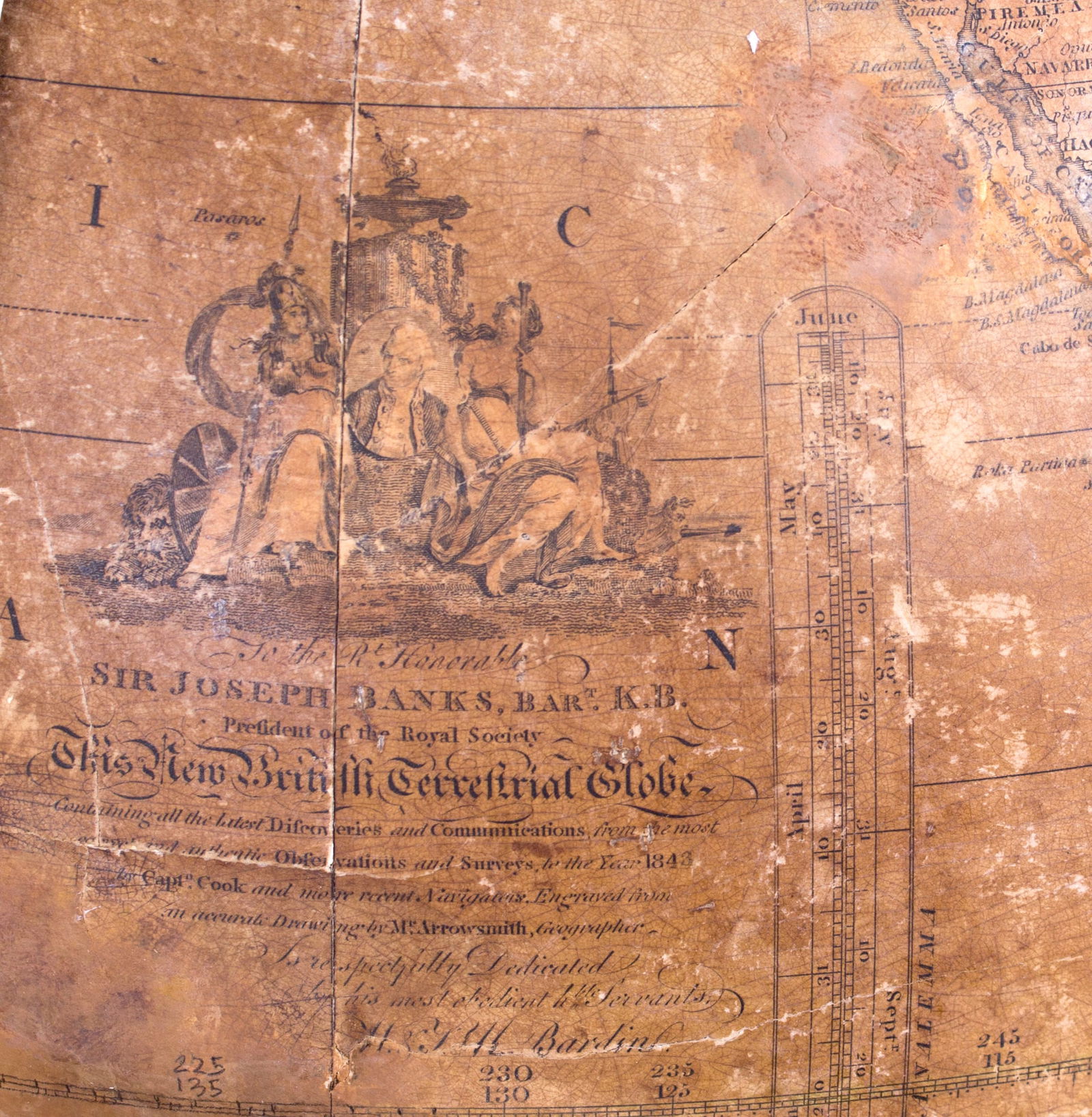 18-inch W & T M Bardin terrestrial globe on stand, English, 1843 - 4