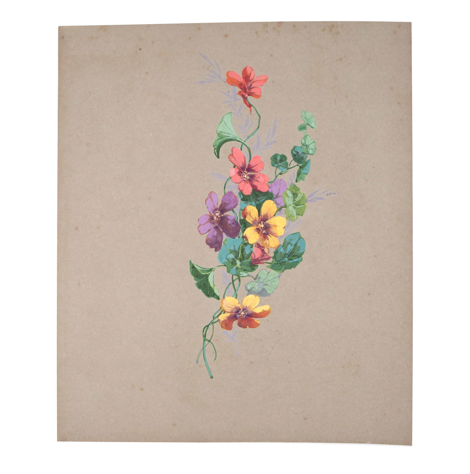 FRENCH aquarellist painting of flowering daisy Henri Adam 1890 (1 of 2)