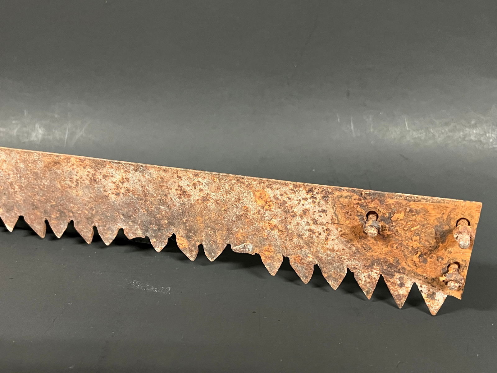 Vintage Farm Tools Saw Blade - 2