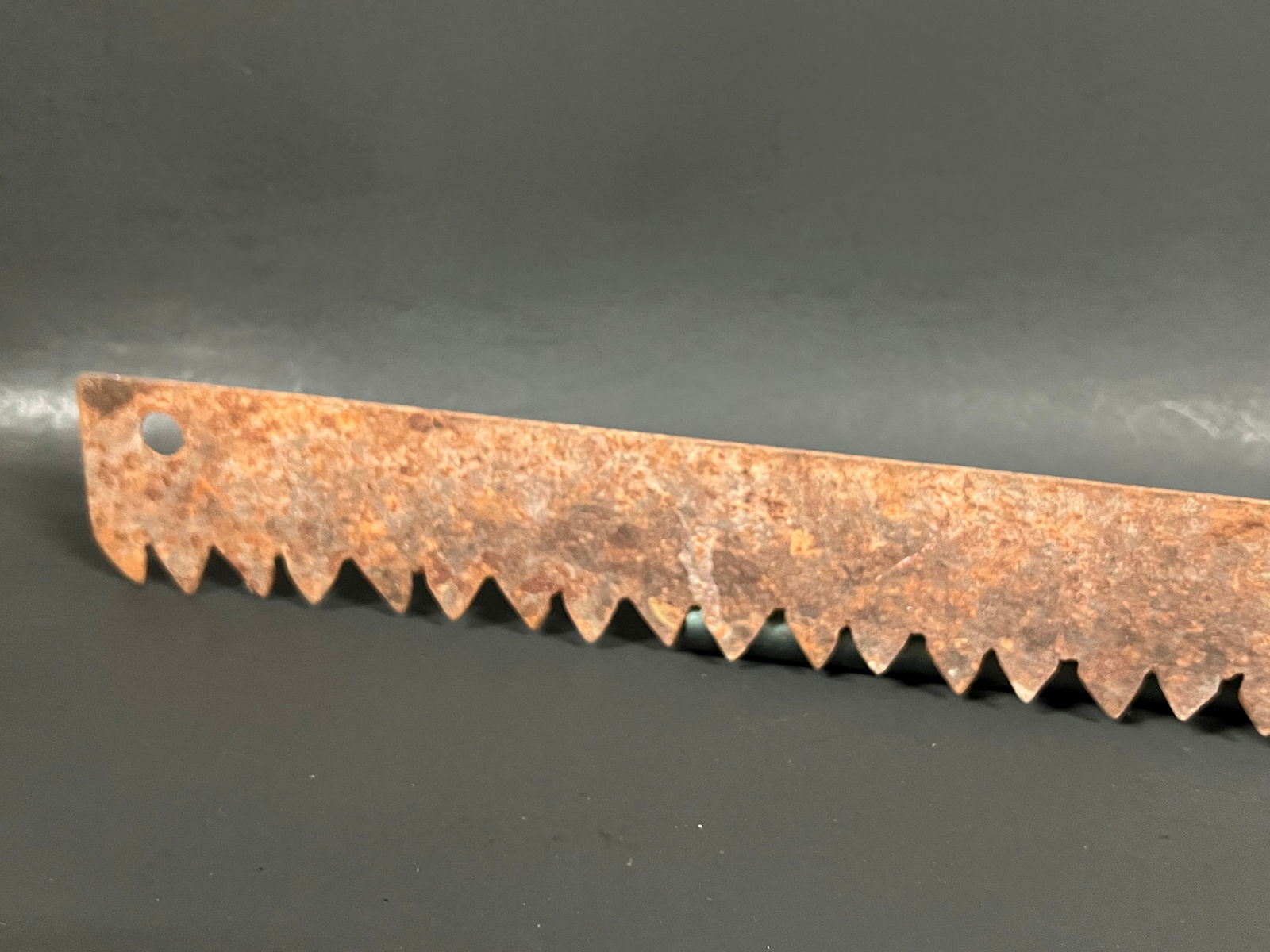 Vintage Farm Tools Saw Blade - 4