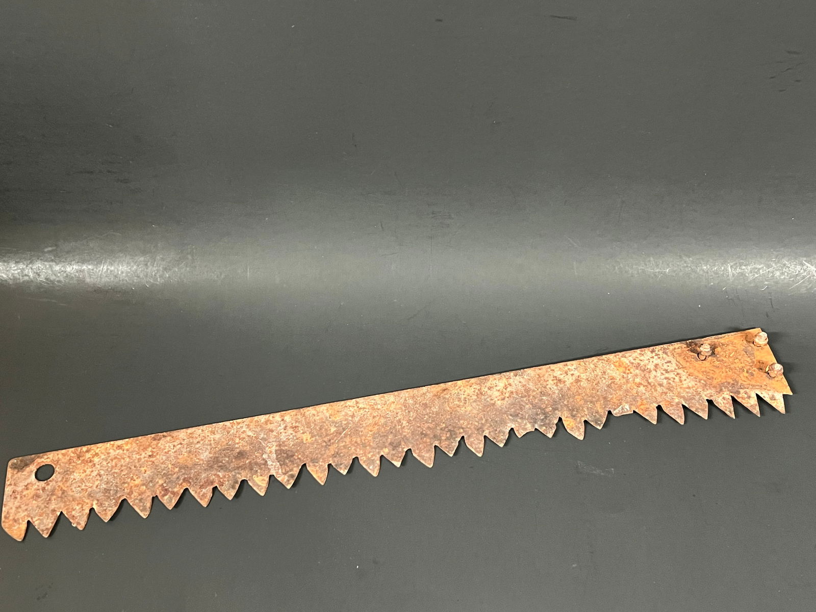 Vintage Farm Tools Saw Blade - 5
