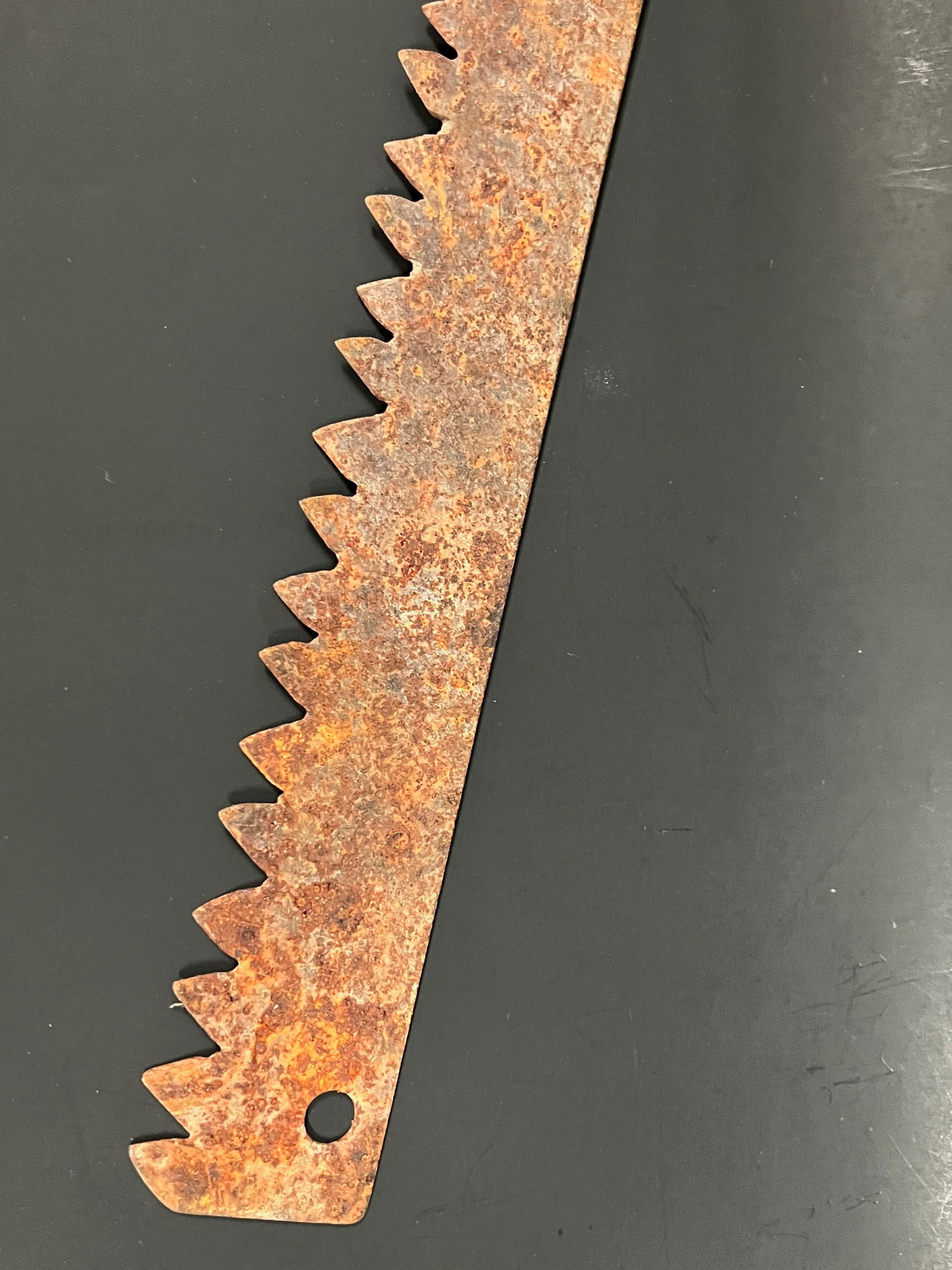 Vintage Farm Tools Saw Blade - 7