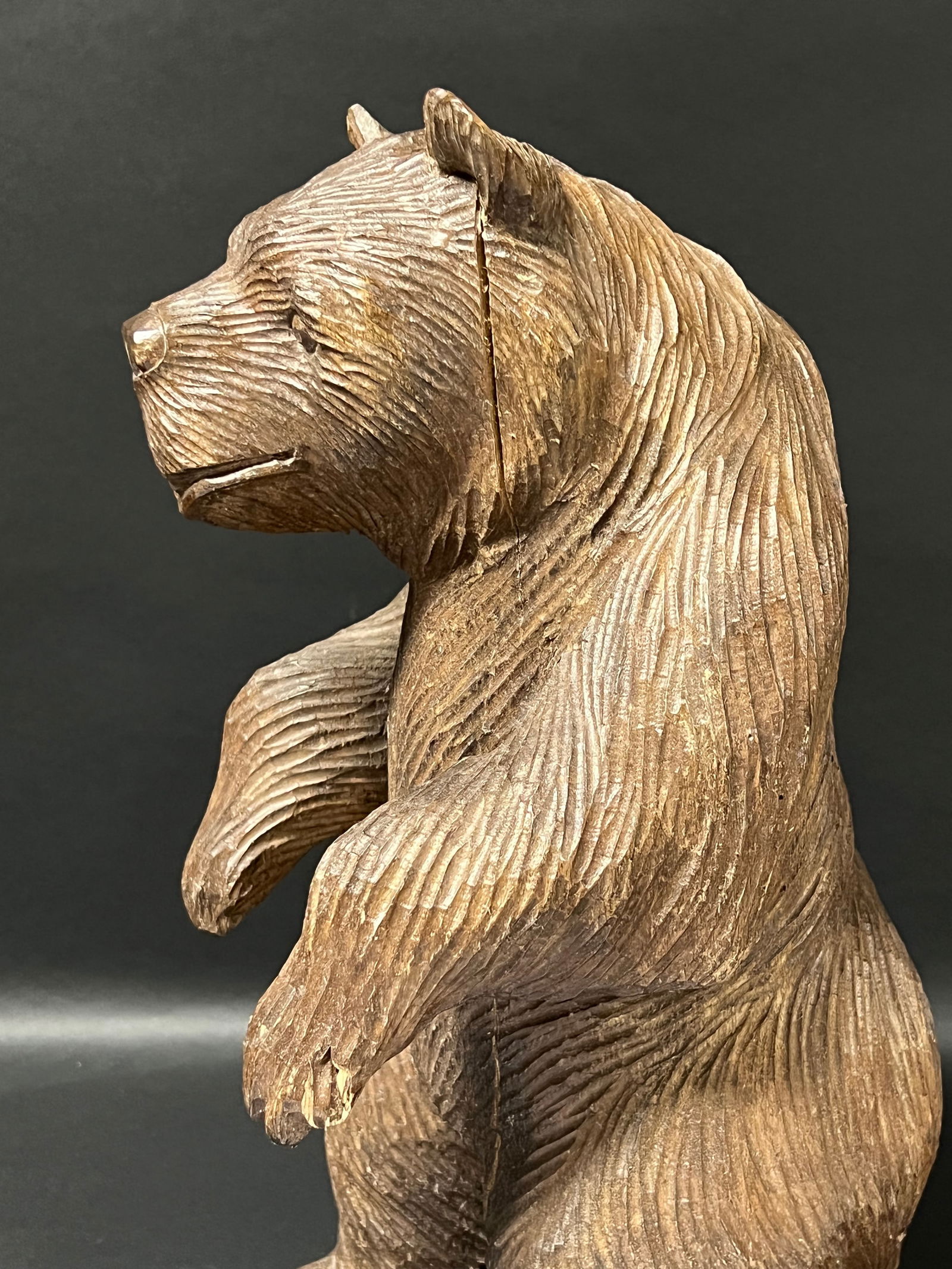 Carved Wood Large Bear Sculpture - 5