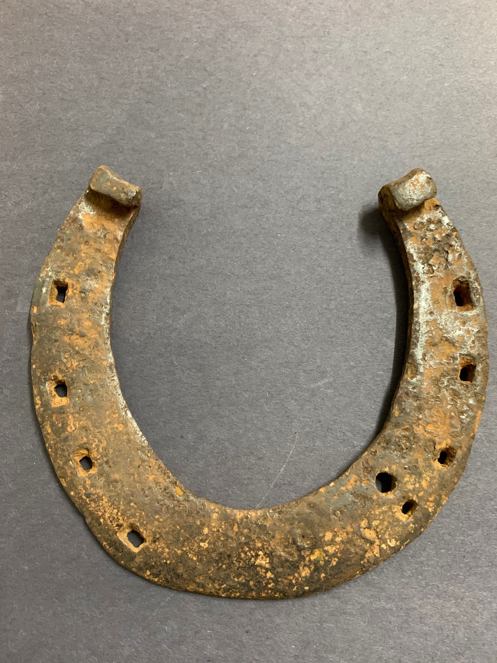 Bronze Horse Shoe - 4
