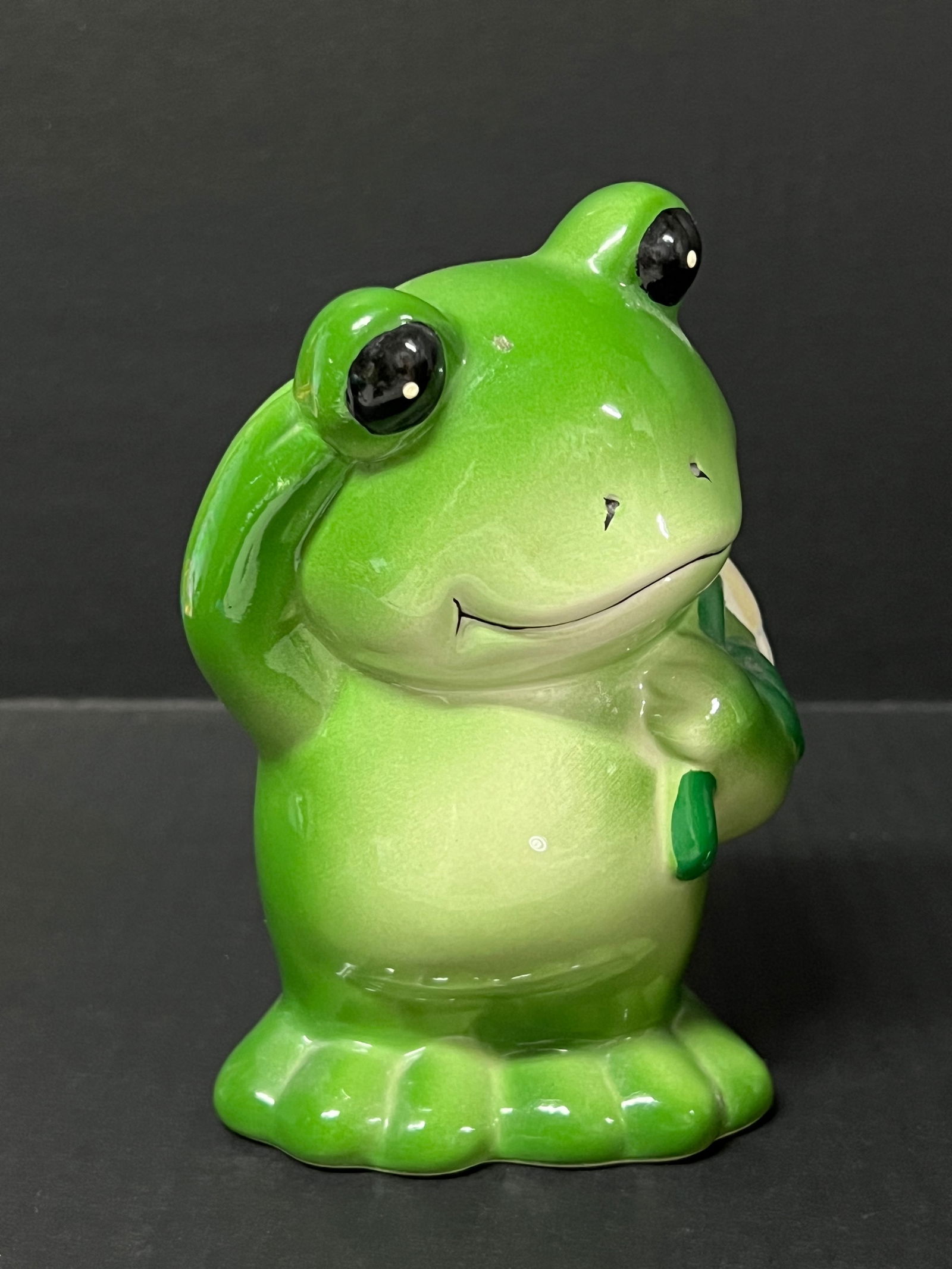 Ceramic Frog Coin Bank - 2