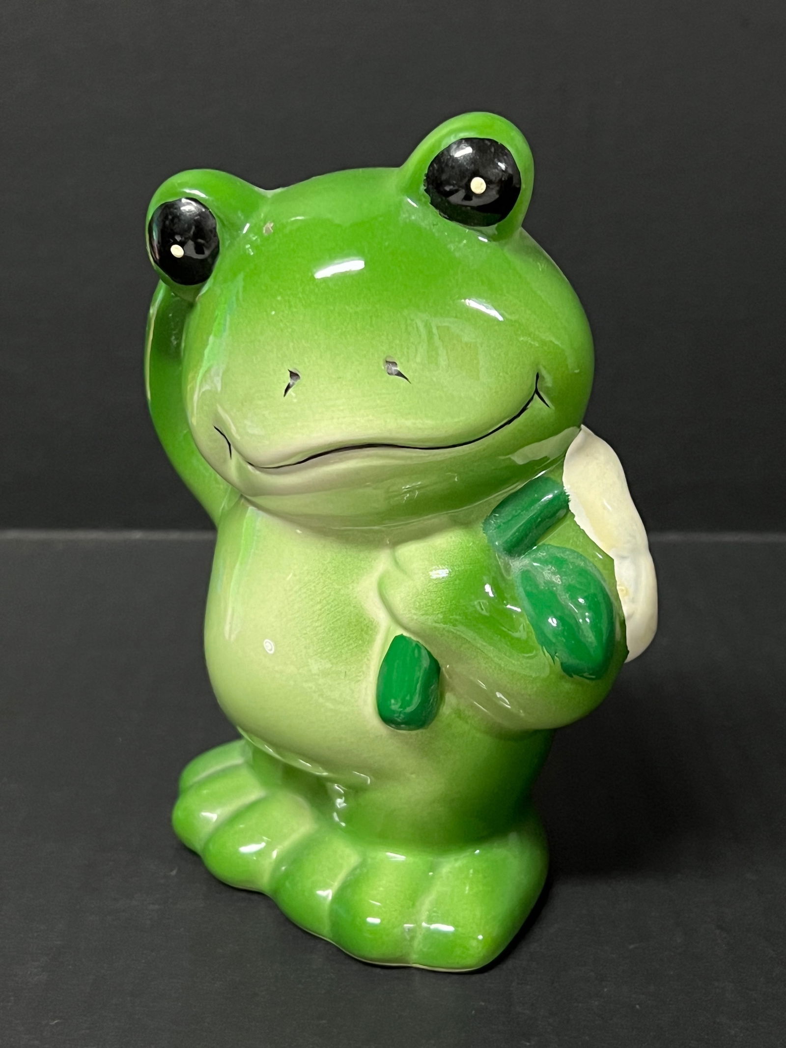 Ceramic Frog Coin Bank - 3