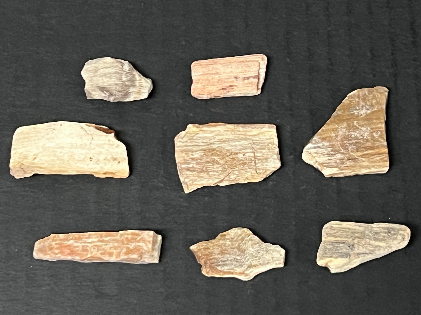 Assorted Sizes Petrified Wood 8 Pcs. - 4
