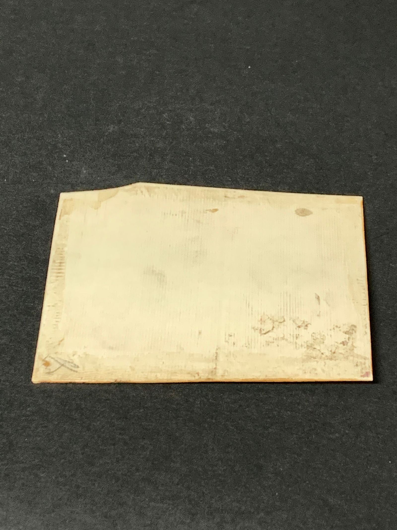 Indian Kuma Sutra Erotica Drawing on Bone - 7