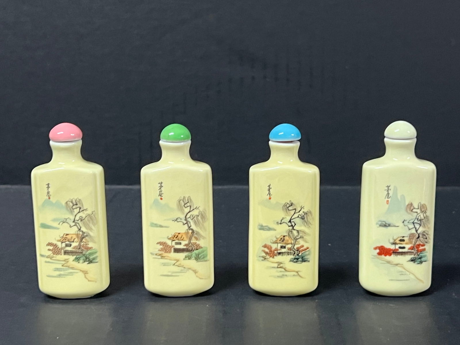 Chinese Art Porcelain Snuff Bottle Set of 4 - 4