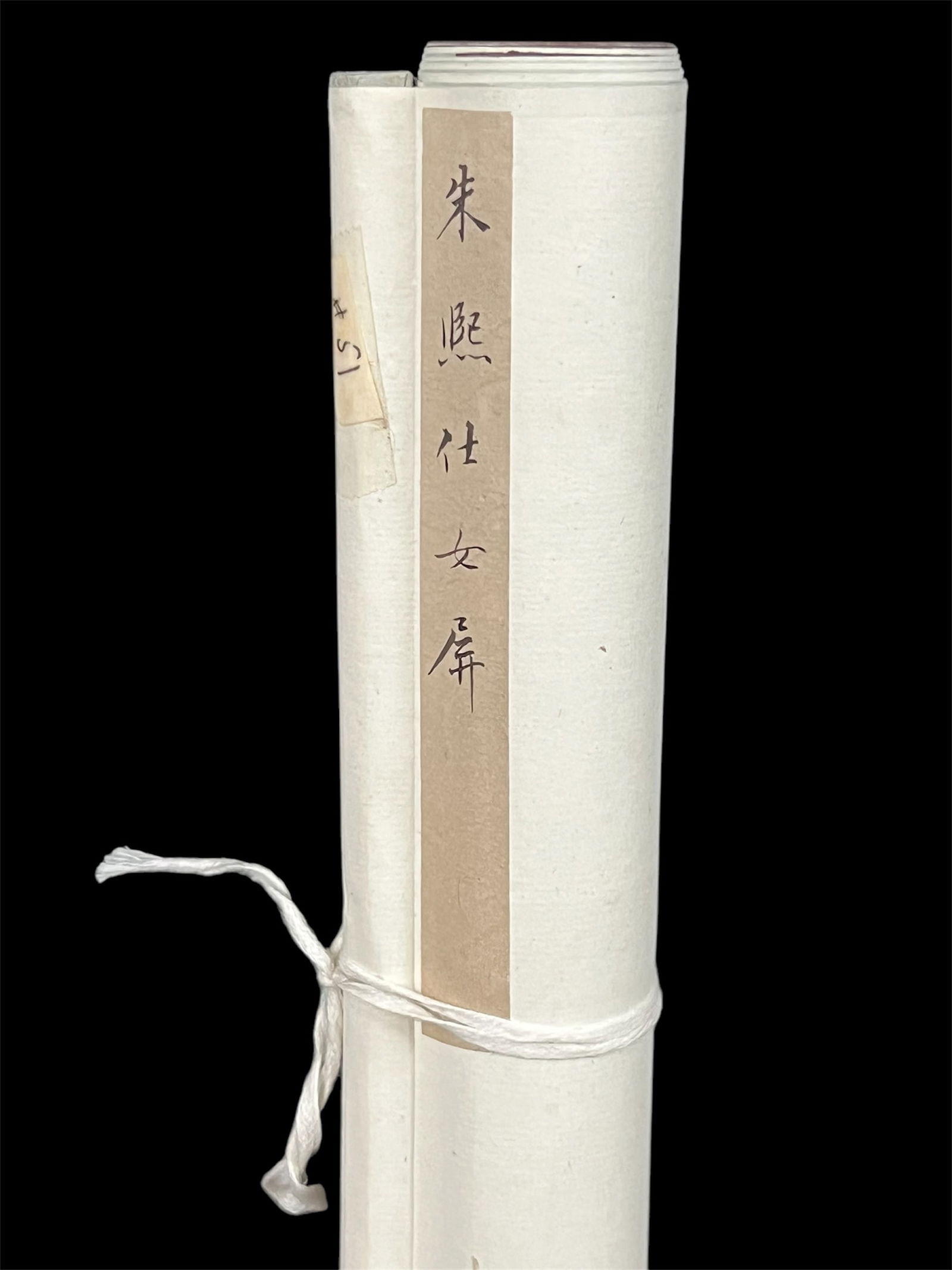 Chinese Scroll Painting - 5