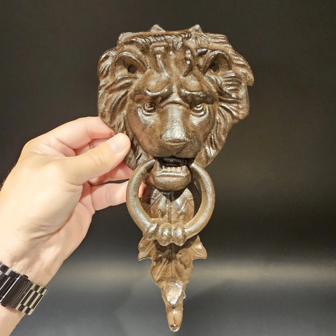Cast Iron Lion Door Knocker w Hook - 10