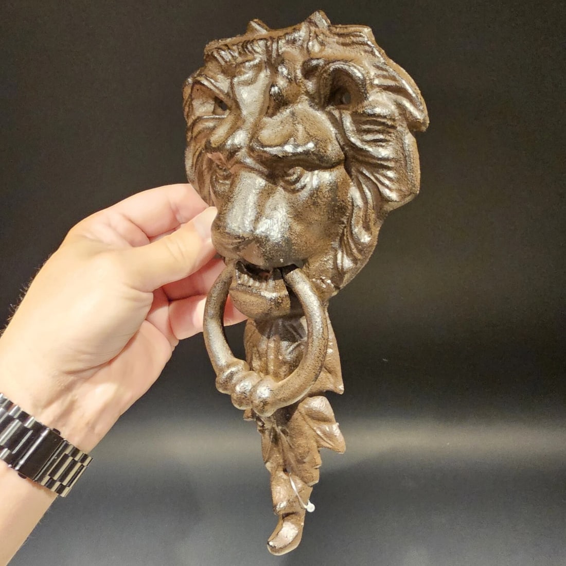 Cast Iron Lion Door Knocker w Hook - 15