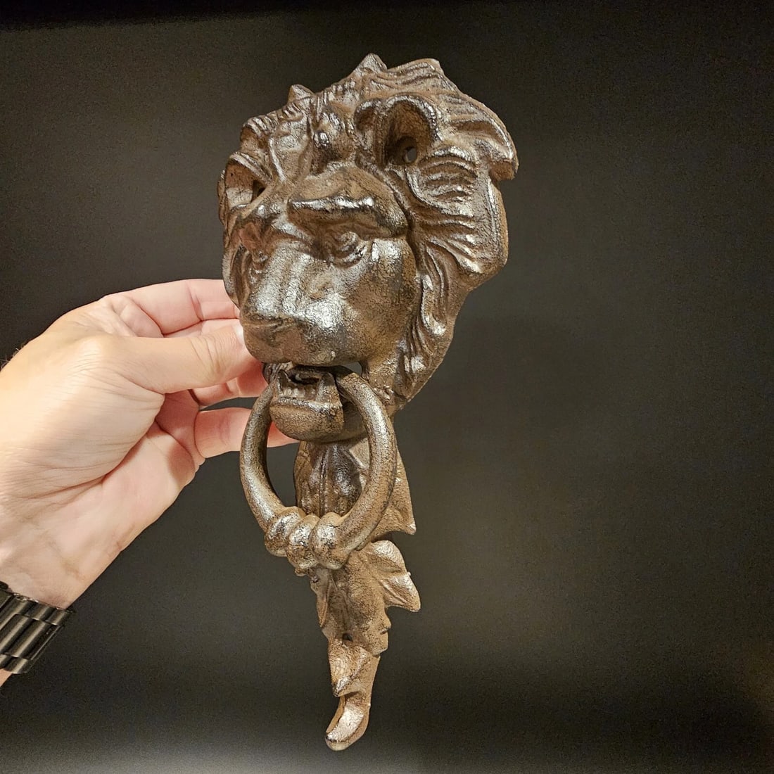 Cast Iron Lion Door Knocker w Hook - 20