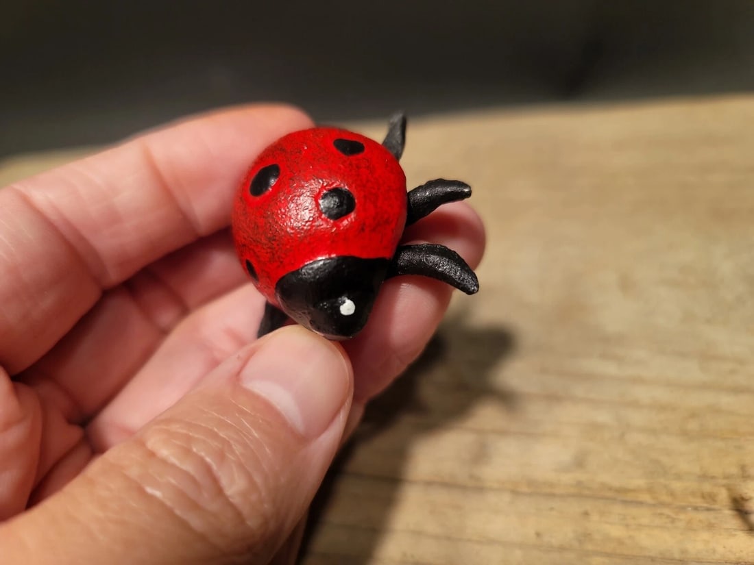 Cast Iron Lady Bug Good Luck - 12